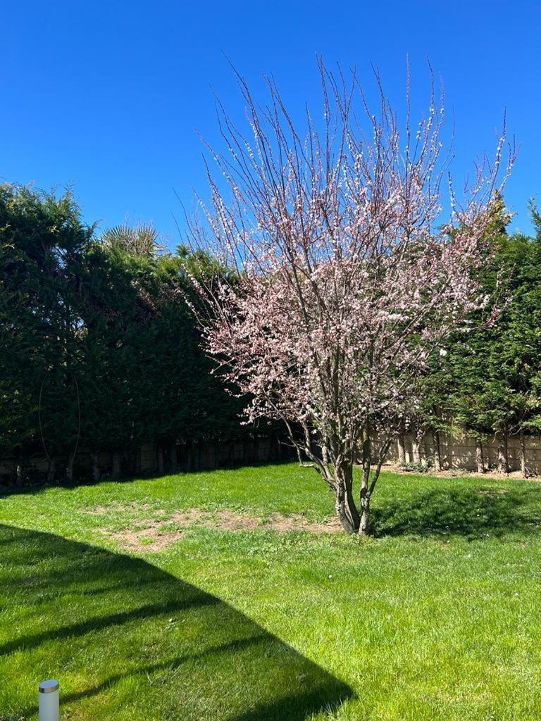 Villa Tomillares Los Tomillares エクステリア 写真